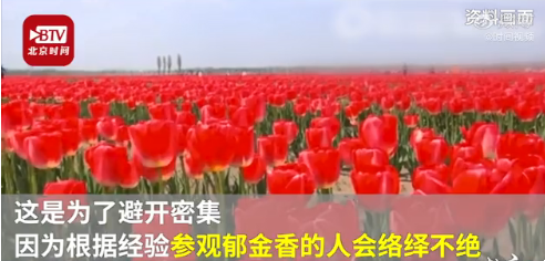 5f2b846dce7f4f6ba2d9b096279b66cf.png