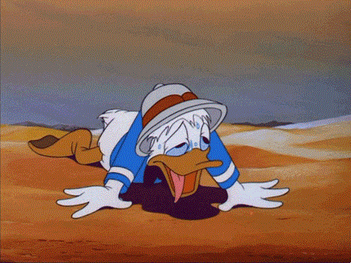 1b6e9cddf6cf4514854ebeed550543c7.gif
