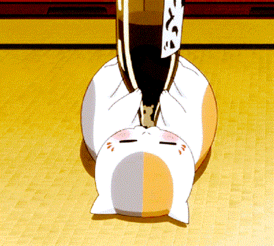 aca0334a493341d79faf009023841c5d.gif