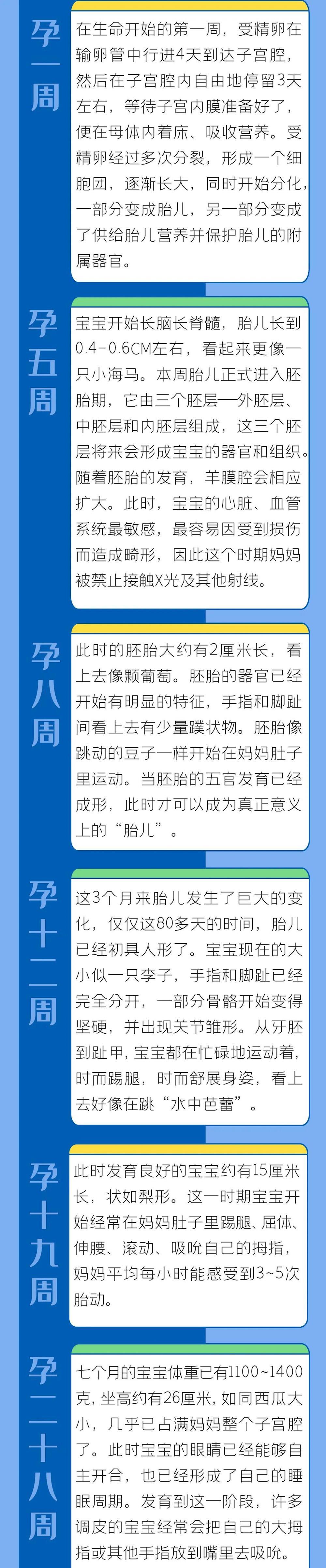 ea03e8253fbe4d57b5f7edf0c7373f02.jpg