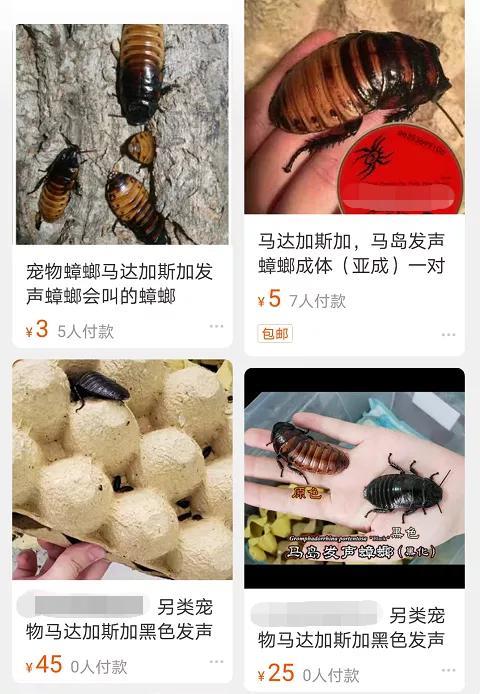 469c581ad8ee45b7a98f5af1a145c6a9.jpg