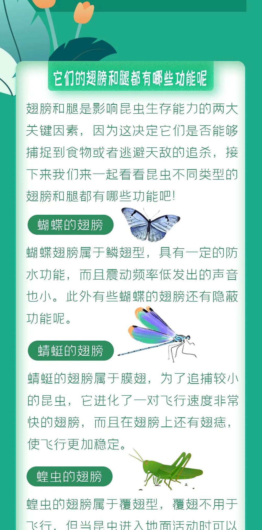 1b2bee00da8547c3aa2d7046c0eff583.jpg