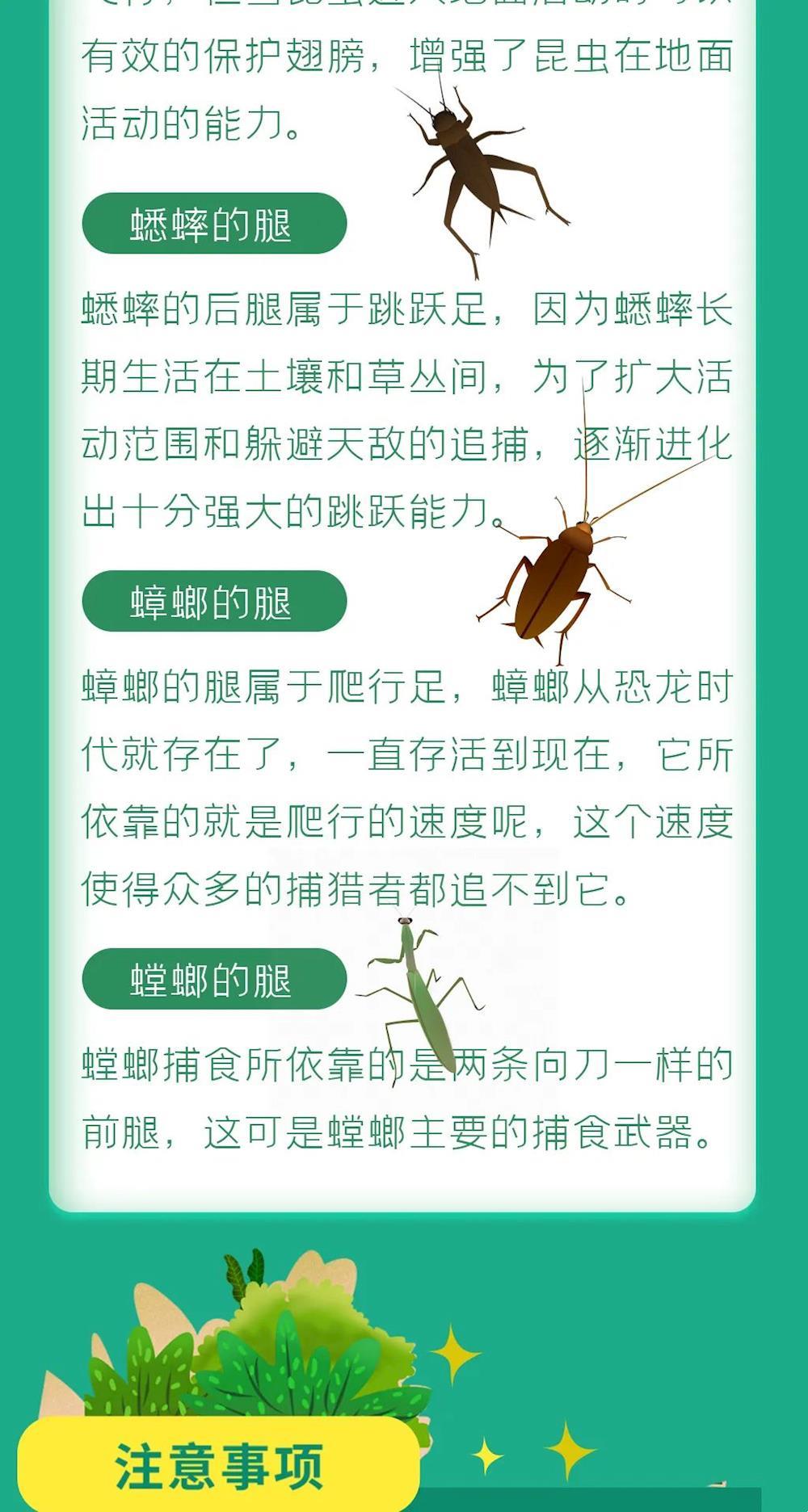 5ab4ea43c2c6453c910c804e3d65d254.jpg