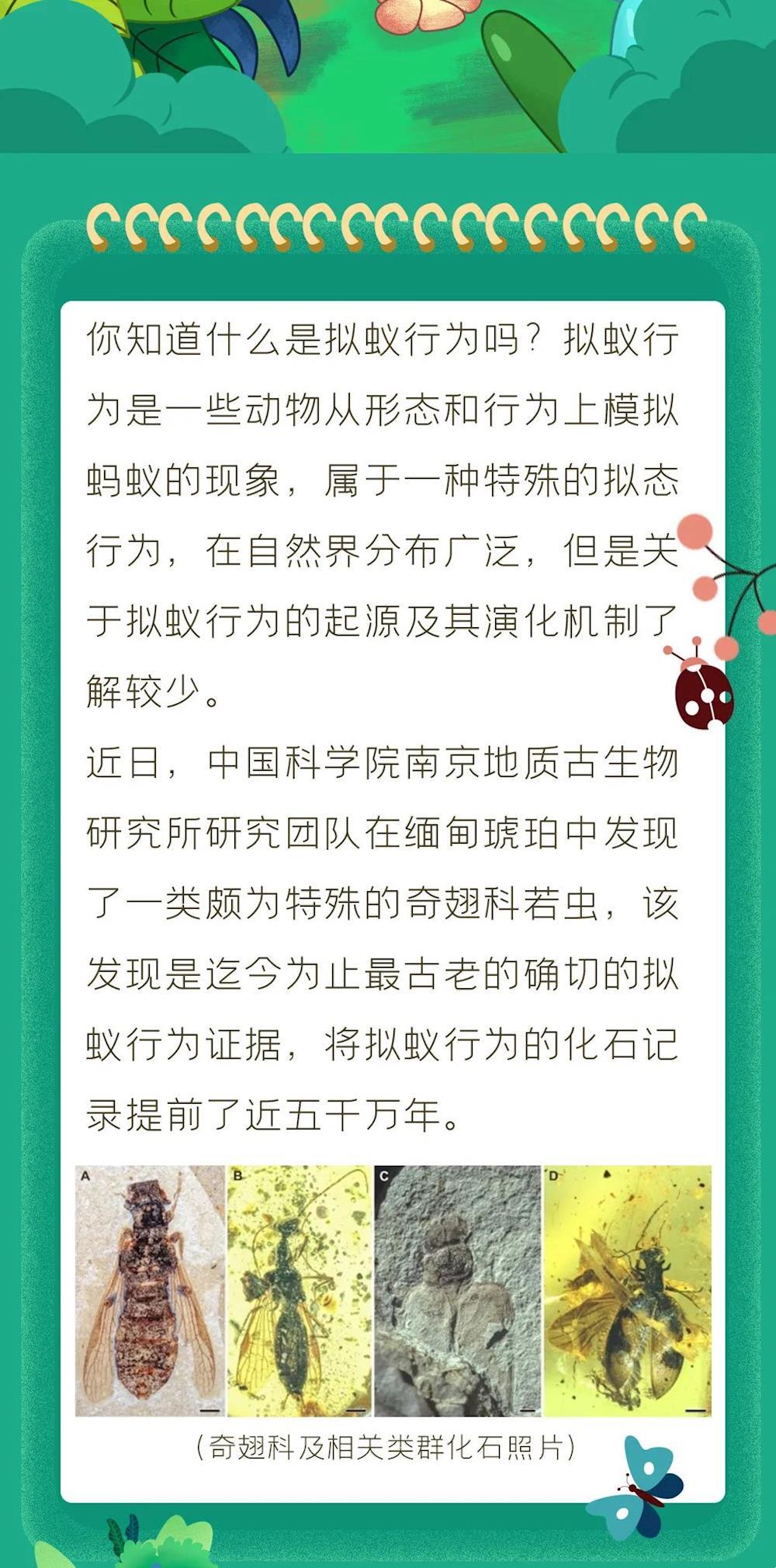 8beece30ecbc407883b23c19109d3cbd.jpg