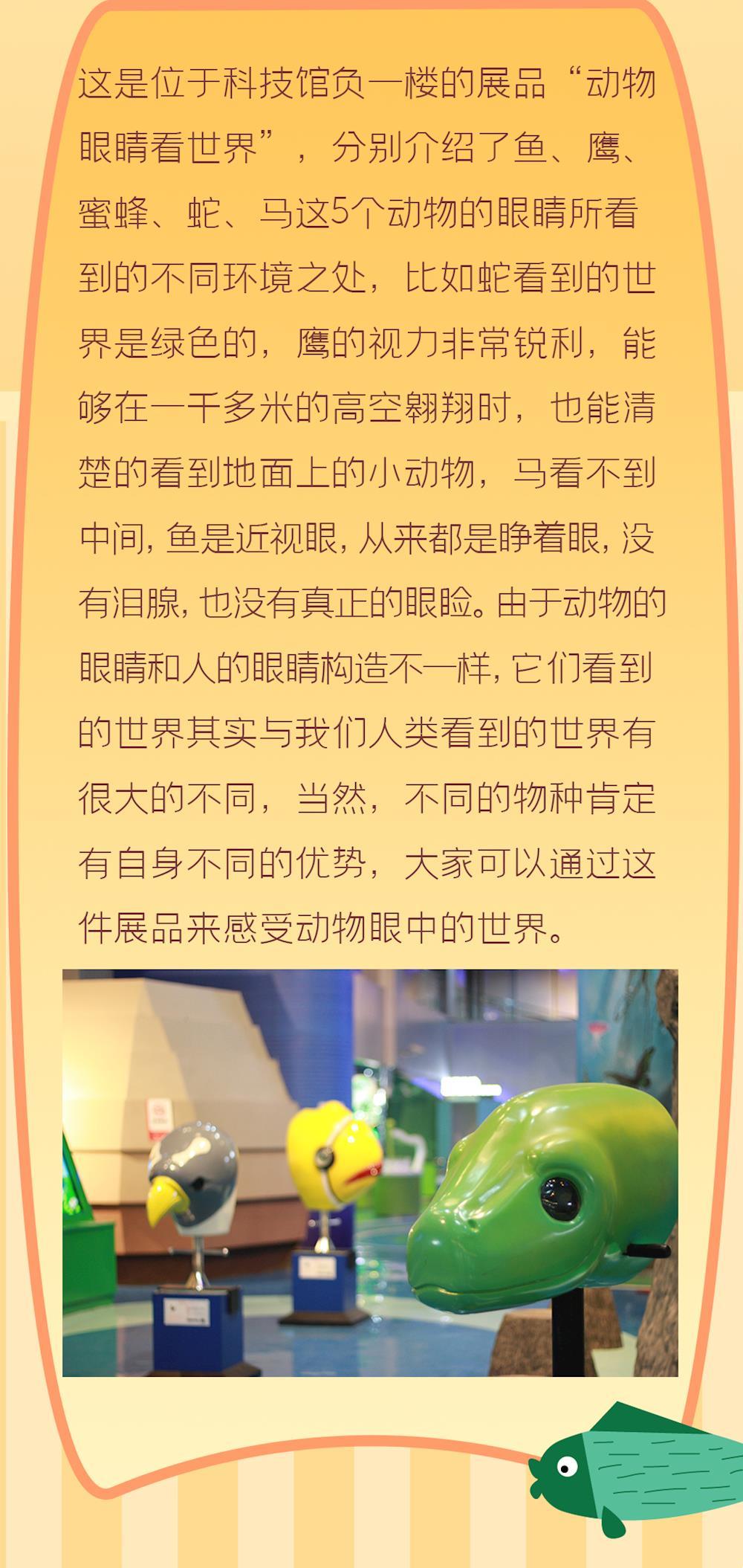bbbf142cf6e34012ac19cfbda9d5fe50.jpg