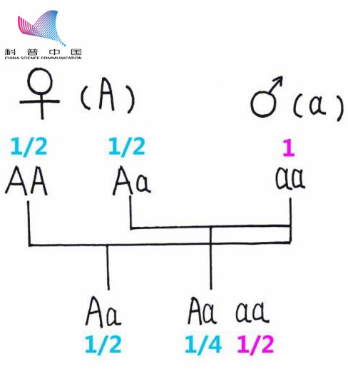 f3a56c0ae2e6476f842aec7b77991341.png