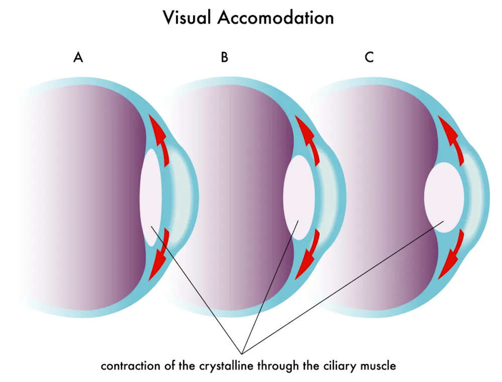 bca04826cbe34808b8041f4bebb5a614.png