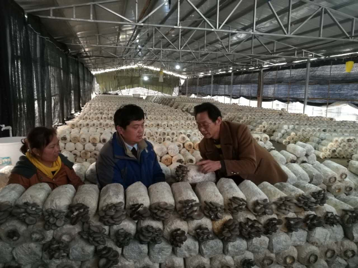 QQ图片20170313195909.png