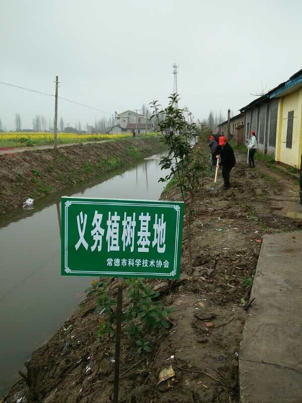 QQ图片20170324083533.jpg